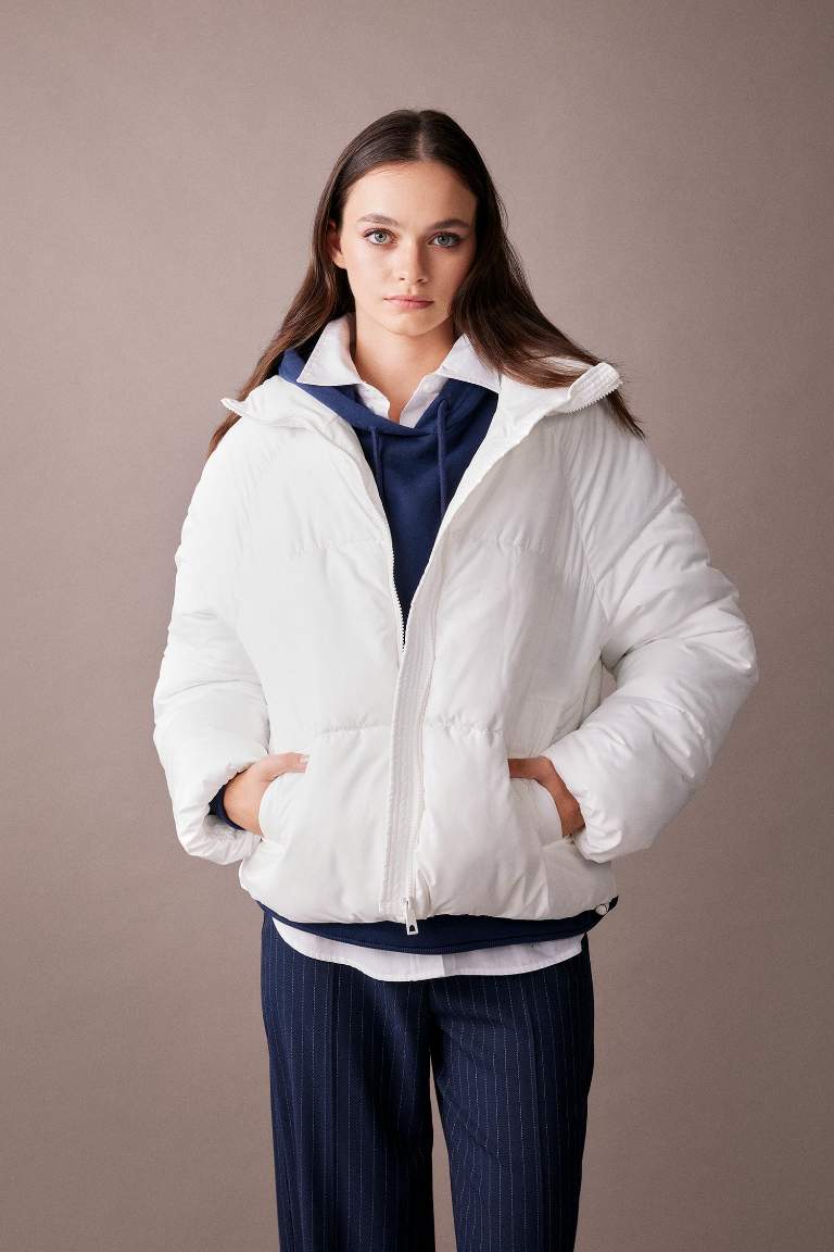 Waterproof Regular Fit Hooded Puffer Jacket
