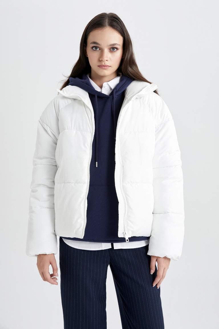 Waterproof Regular Fit Hooded Puffer Jacket