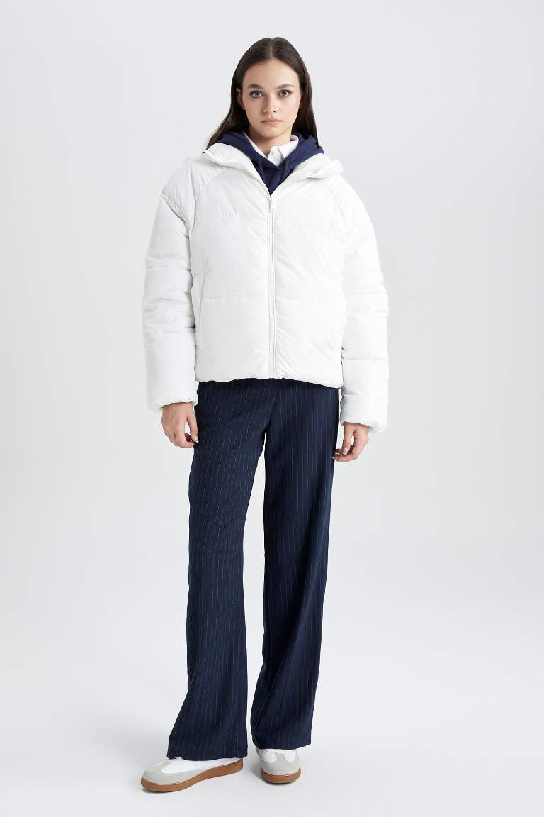 Waterproof Regular Fit Hooded Puffer Jacket