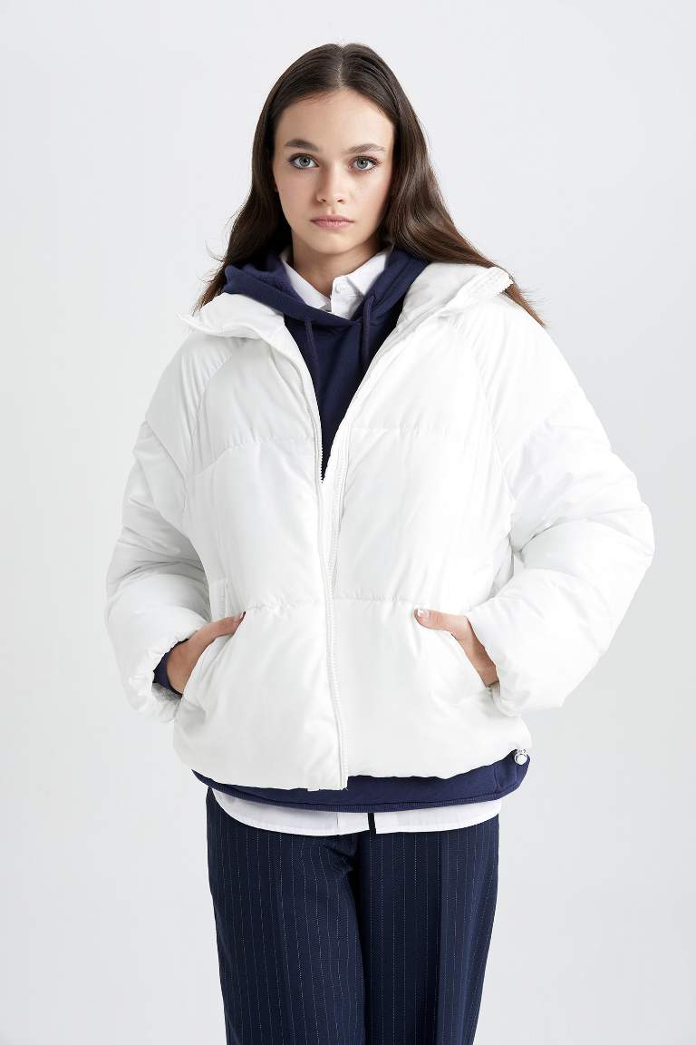 Waterproof Regular Fit Hooded Puffer Jacket