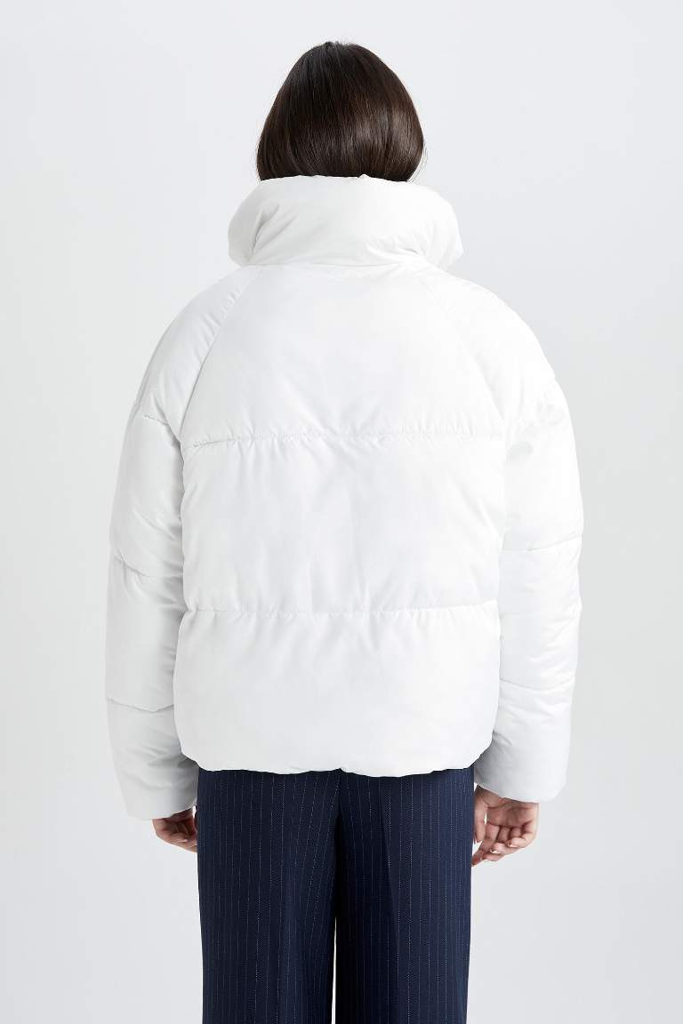 Waterproof Regular Fit Hooded Puffer Jacket